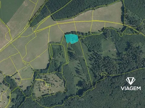Prodej podílu lesa, Brumov-Bylnice, 464 m2