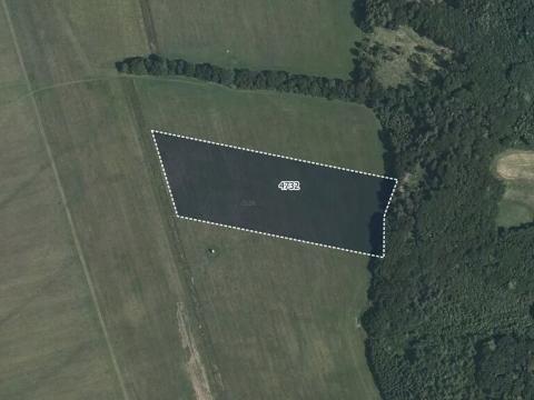 Prodej pole, Tatenice, 10042 m2