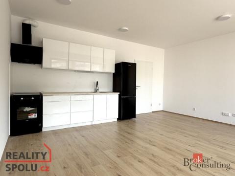 Pronájem bytu 1+kk, Plzeň, Železná, 47 m2