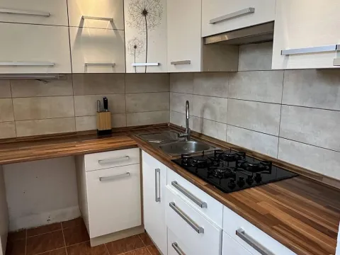 Pronájem bytu 2+1, Ostrava, Opavská, 44 m2