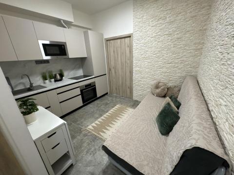 Pronájem bytu 2+kk, Praha - Nové Město, Sokolská, 23 m2