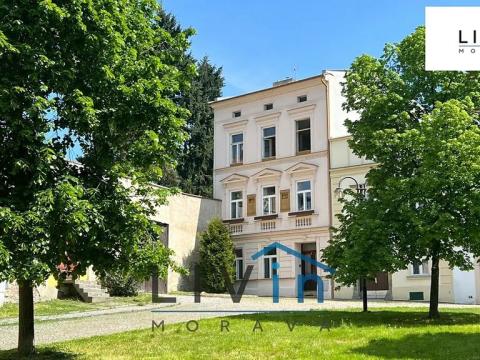Prodej bytu 1+kk, Olomouc, Blažejské náměstí, 25 m2