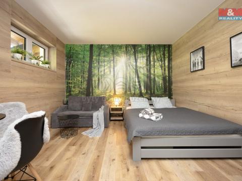 Prodej bytu 1+kk, Vrbno pod Pradědem, Žižkova, 31 m2
