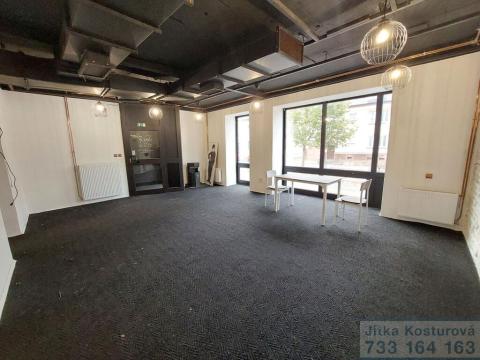 Pronájem komerční nemovitosti, Krnov - Pod Bezručovým vrchem, Albrechtická, 80 m2