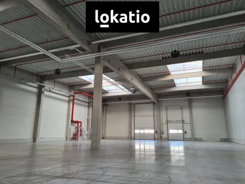 Pronájem skladu, Ostrava, 1168 m2