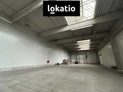 Pronájem skladu, Ostrava, 711 m2