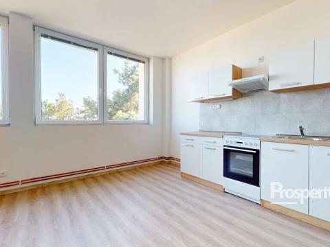 Pronájem bytu 1+kk, Mlékojedy, 35 m2