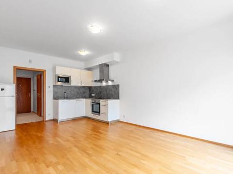 Pronájem bytu 1+kk, Praha - Břevnov, Patočkova, 32 m2