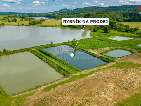 Prodej rybníku, Ostružno, 3377 m2