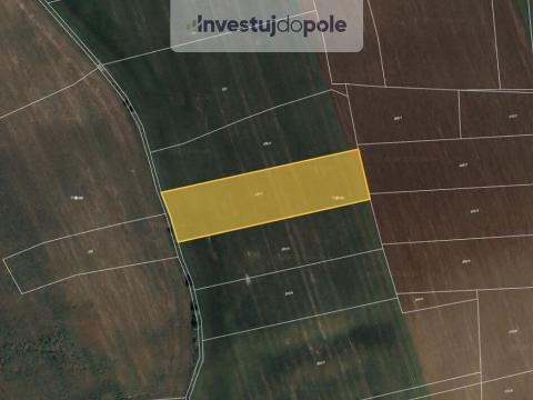 Prodej pole, Dobříč, 2910 m2