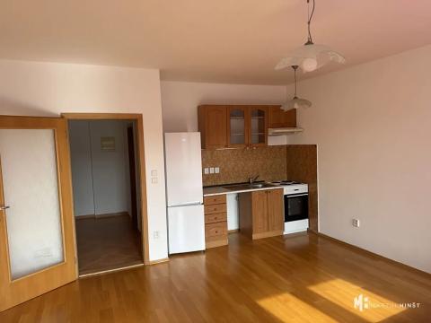 Pronájem bytu 1+kk, Praha - Strašnice, Názovská, 38 m2