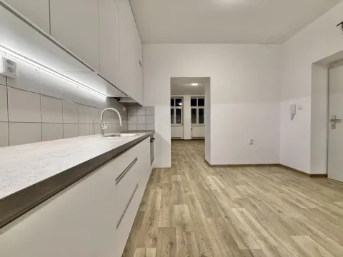 Pronájem bytu 1+1, Opava - Předměstí, Hviezdoslavova, 55 m2