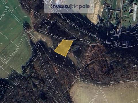 Prodej zahrady, Kostelec nad Orlicí - Kostelecká Lhota, 2094 m2