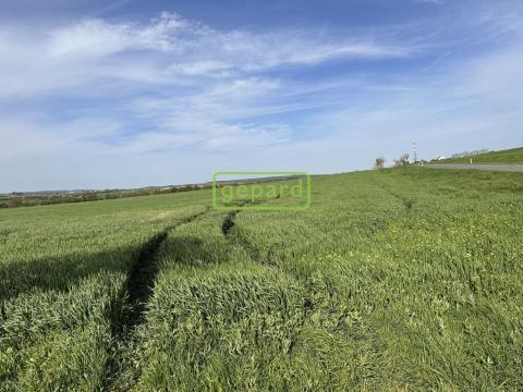 Prodej pole, Brno - Tuřany, 5446 m2