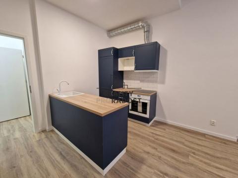 Pronájem bytu 1+kk, Brno, Antonínská, 45 m2