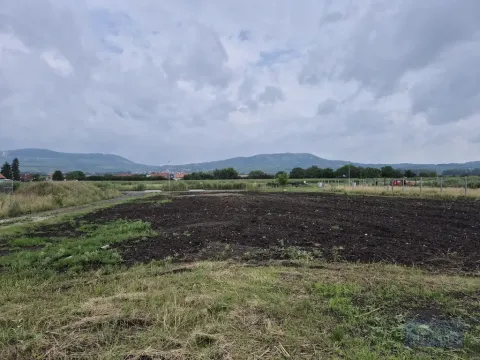 Prodej pozemku pro bydlení, Dolní Dunajovice, Pálavská, 631 m2