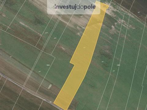 Prodej pole, Sudovo Hlavno, 6314 m2