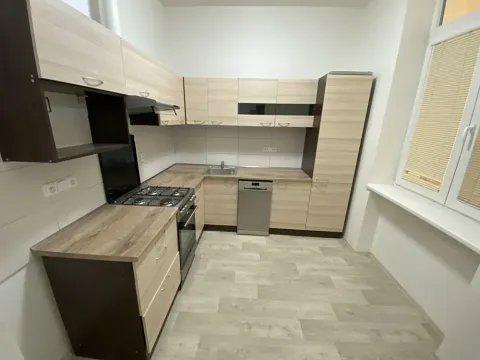 Pronájem bytu 2+1, Brno, Úvoz, 55 m2