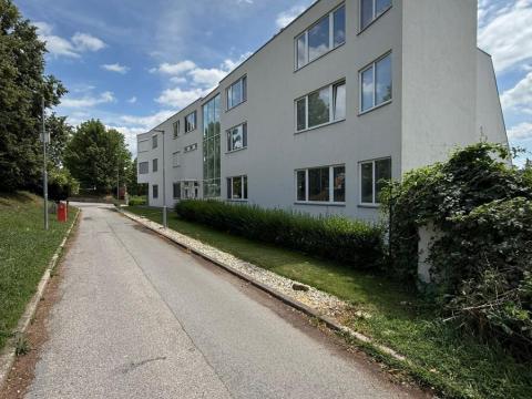 Prodej bytu 2+kk, Brno - Pisárky, Vinařská, 147 m2