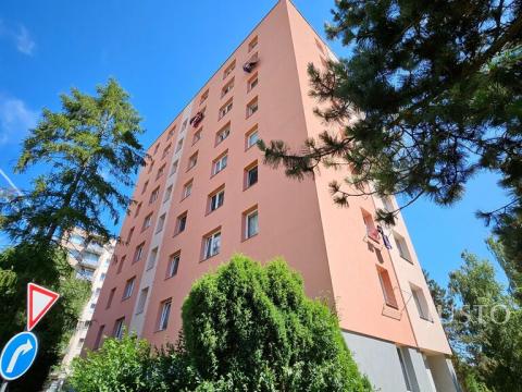 Prodej bytu 1+kk, Písek - Budějovické Předměstí, třída Přátelství, 26 m2
