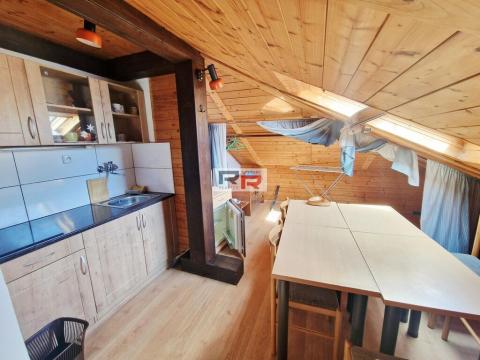 Pronájem bytu 1+kk, Olomouc - Nová Ulice, Na chmelnici, 70 m2