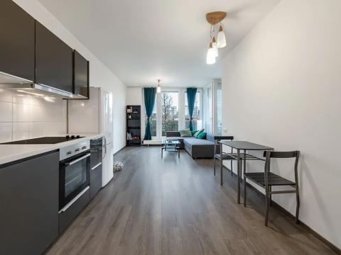 Pronájem bytu 2+kk, Praha - Žižkov, Olgy Havlové, 54 m2