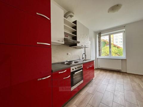 Pronájem bytu 1+1, České Budějovice - České Budějovice 5, Dobrovodská, 46 m2