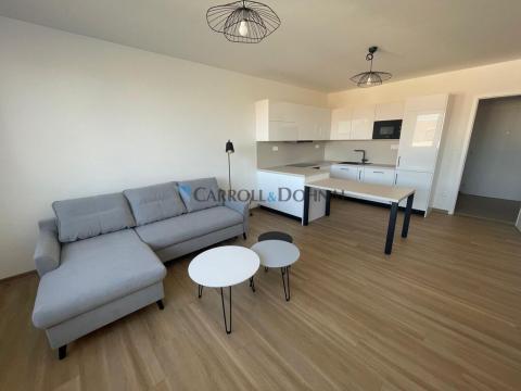 Pronájem bytu 2+kk, Ostrava - Slezská Ostrava, U Hájenky, 61 m2