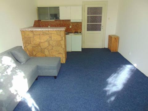 Pronájem bytu 1+kk, Praha - Vinohrady, Soběslavská, 30 m2