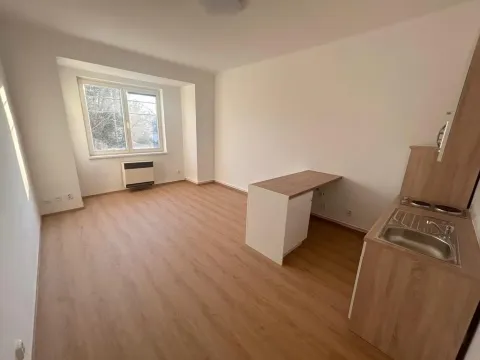 Pronájem bytu 1+kk, Praha - Vinohrady, Soběslavská, 30 m2