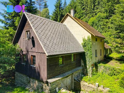 Prodej chalupy, Branná, 220 m2