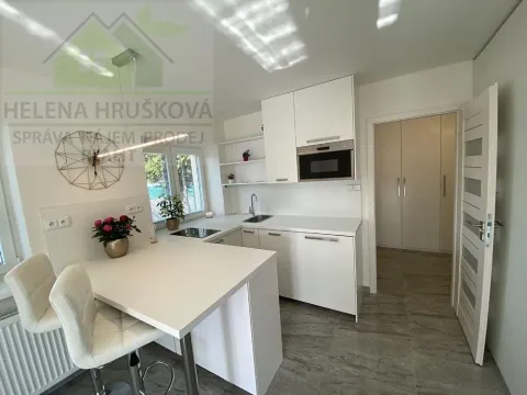 Pronájem bytu 1+kk, Ostravice, 28 m2