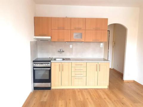 Pronájem bytu 1+1, České Budějovice, Puklicova, 40 m2