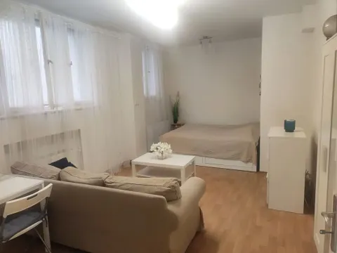 Pronájem bytu 1+kk, Praha - Nové Město, Vladislavova, 30 m2
