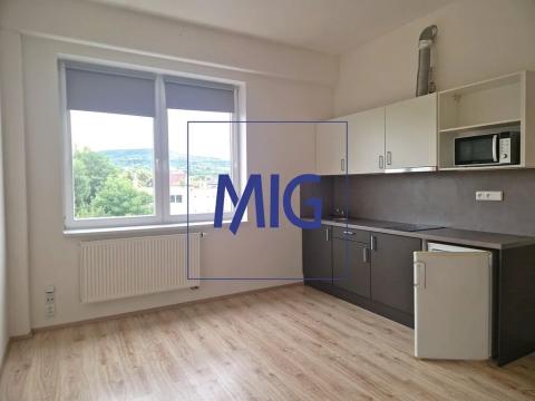 Pronájem bytu 1+kk, Brno, Franzova, 26 m2