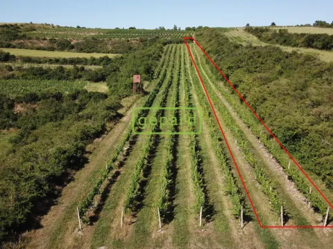 Prodej sadu/vinice, Starovice, 2166 m2