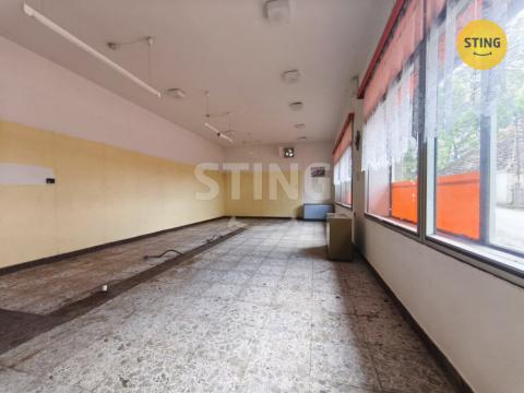Prodej komerční nemovitosti, Vyklantice - Staré Vyklantice, 170 m2