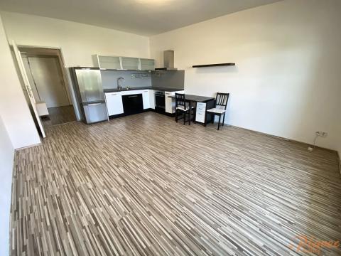 Pronájem bytu 1+kk, Holubice, Platanová, 48 m2