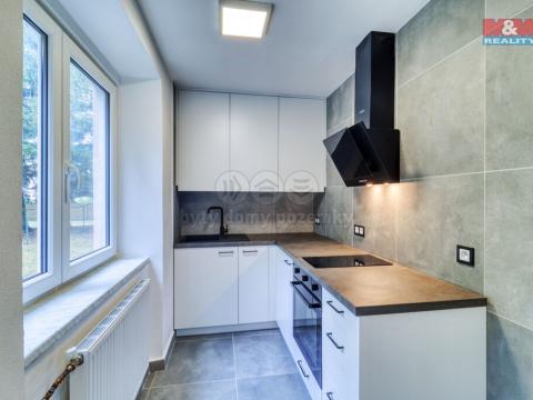 Pronájem bytu 2+kk, Plzeň - Východní Předměstí, Rychtaříkova, 28 m2