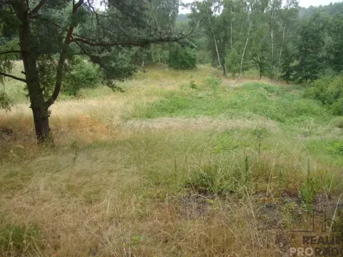 Prodej zahrady, Krušovice, 2000 m2