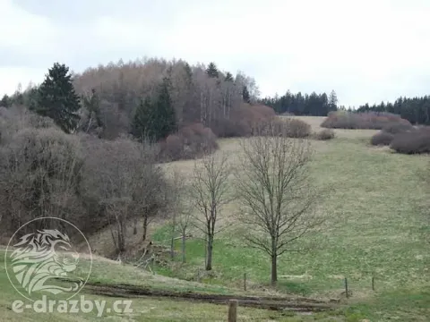 Dražba pozemku, Dlouhá Ves, 2751 m2