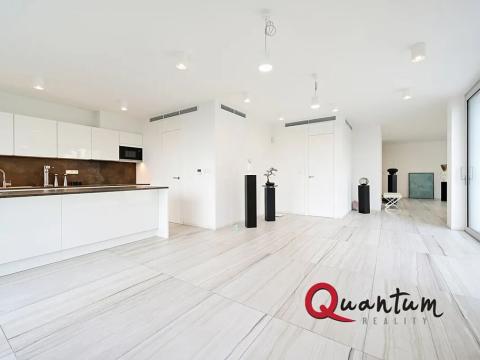 Pronájem bytu 1+kk, Praha - Braník, Na usedlosti, 100 m2