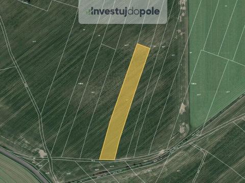 Prodej pole, Němčice, 1728 m2