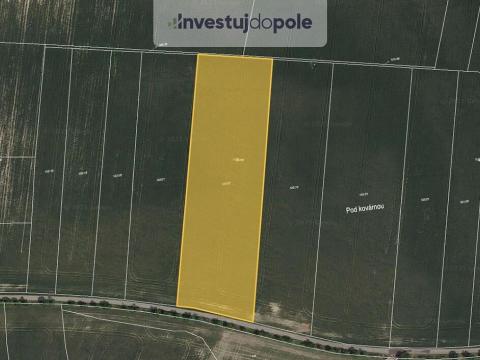 Prodej pole, Horní Slivno, 2123 m2