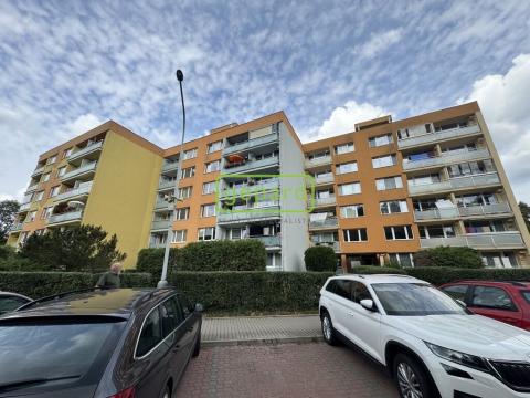 Pronájem bytu 2+1, Sázava, Školská, 55 m2