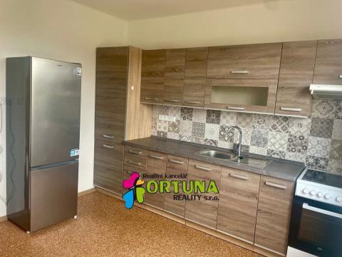 Pronájem bytu 3+1, Litvínovice, 82 m2