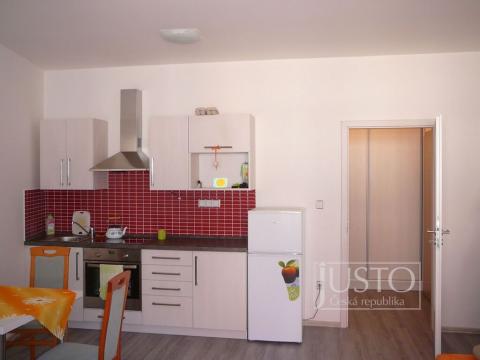 Pronájem bytu 1+kk, Písek - Budějovické Předměstí, Nádražní, 30 m2