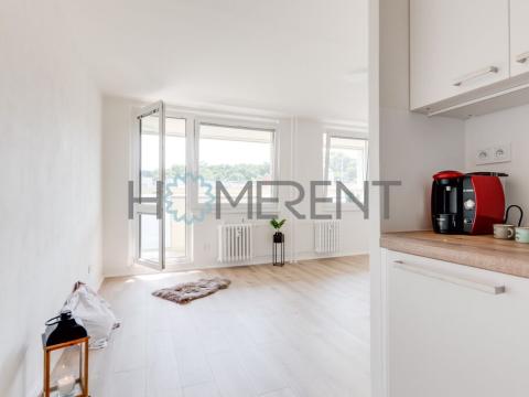 Pronájem bytu 1+kk, Praha - Žižkov, Rokycanova, 38 m2
