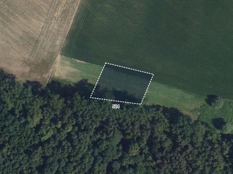 Prodej louky, Šebkovice, 6051 m2
