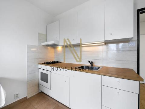 Pronájem bytu 1+1, Plzeň, Tichá, 35 m2